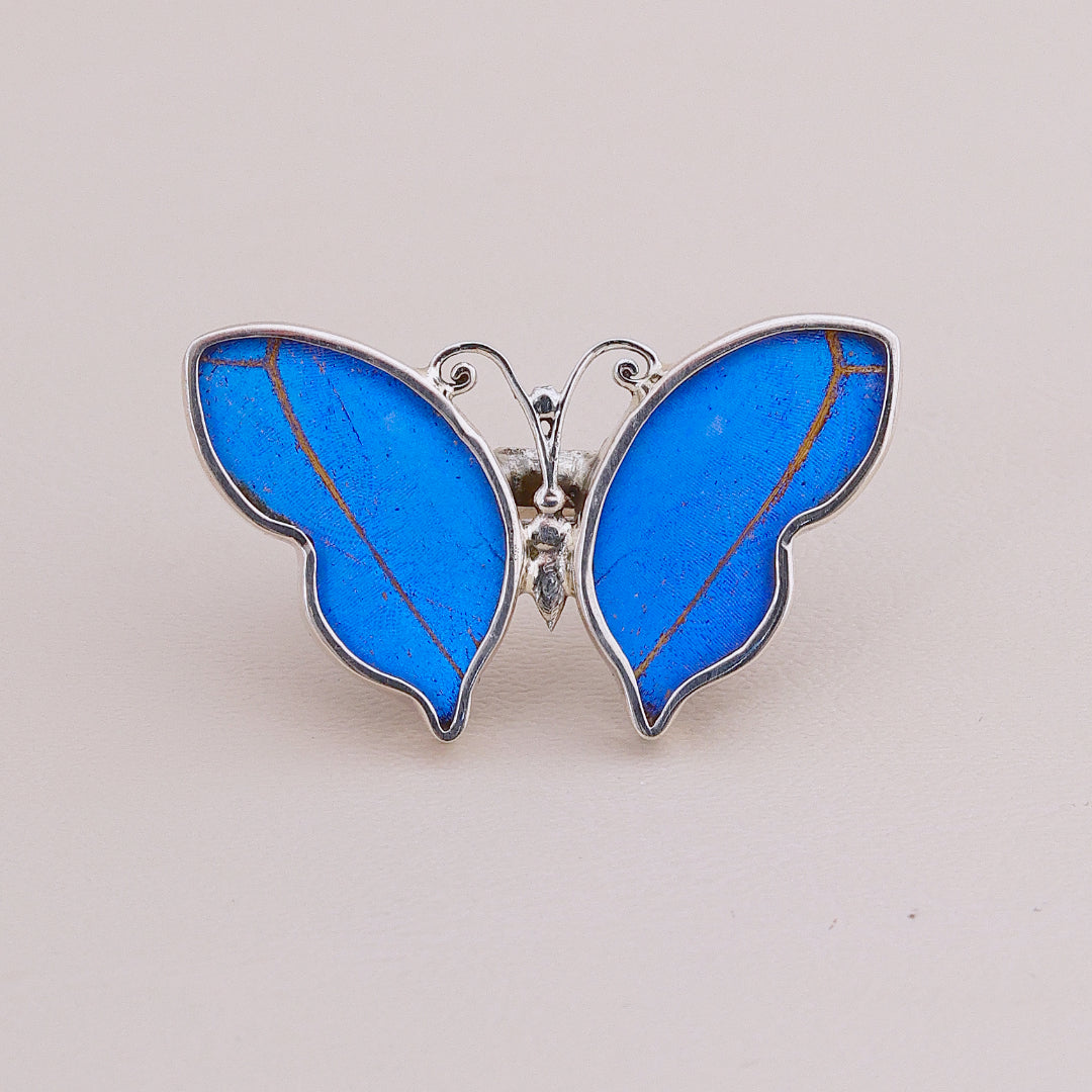 Sortija Mariposa Colors #1