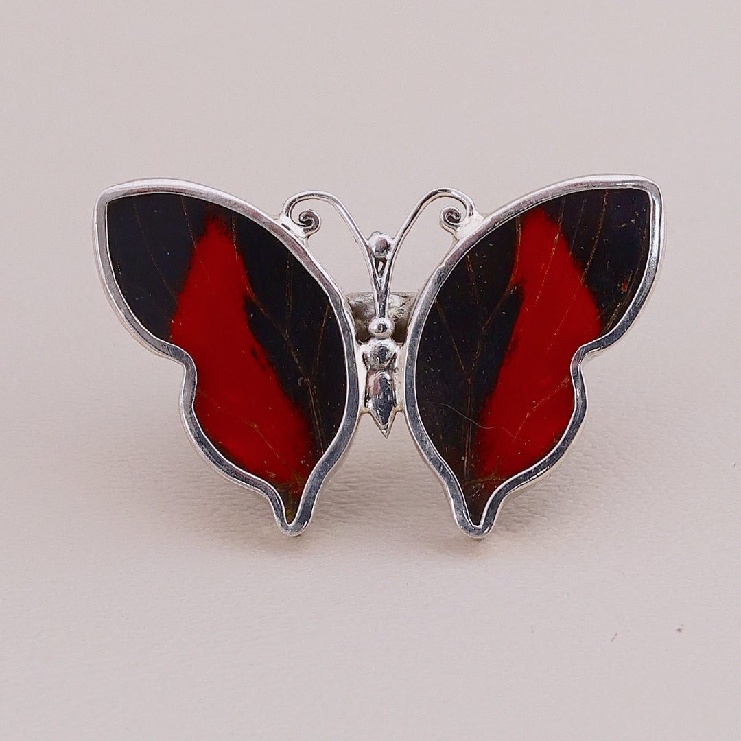 Sortija Mariposa Colors #1