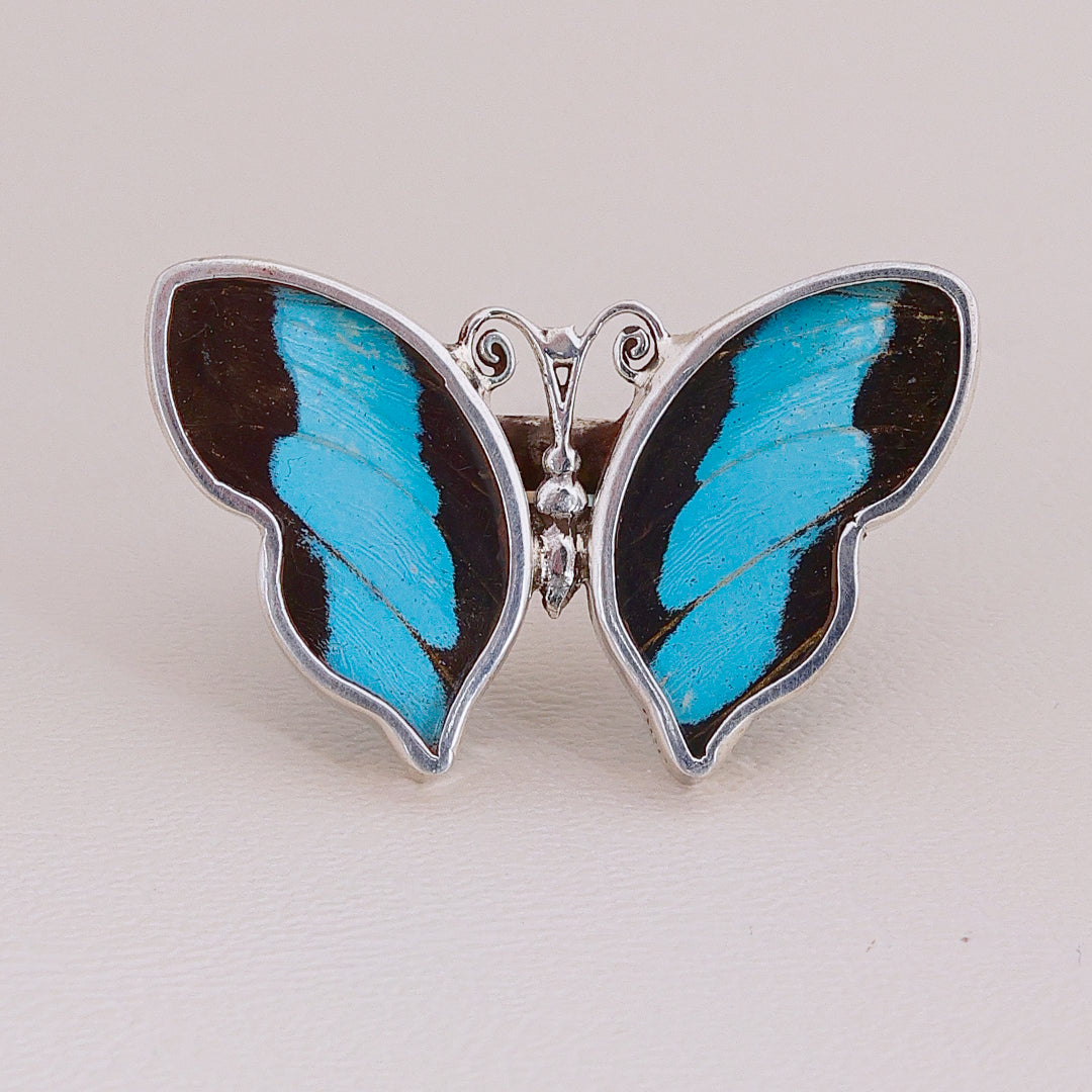 Sortija Mariposa Colors #1