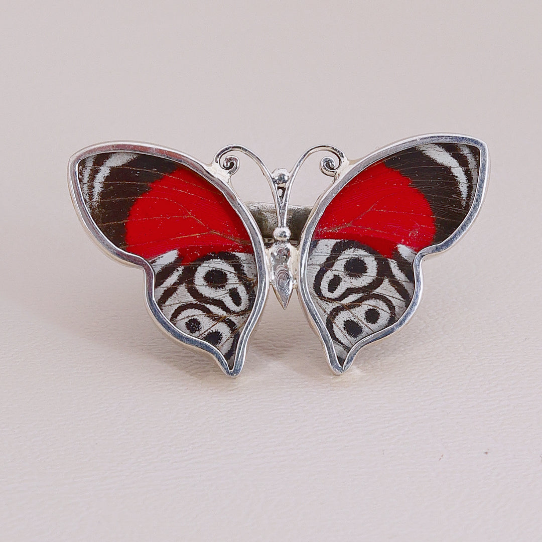 Butterfly Colors Ring #3
