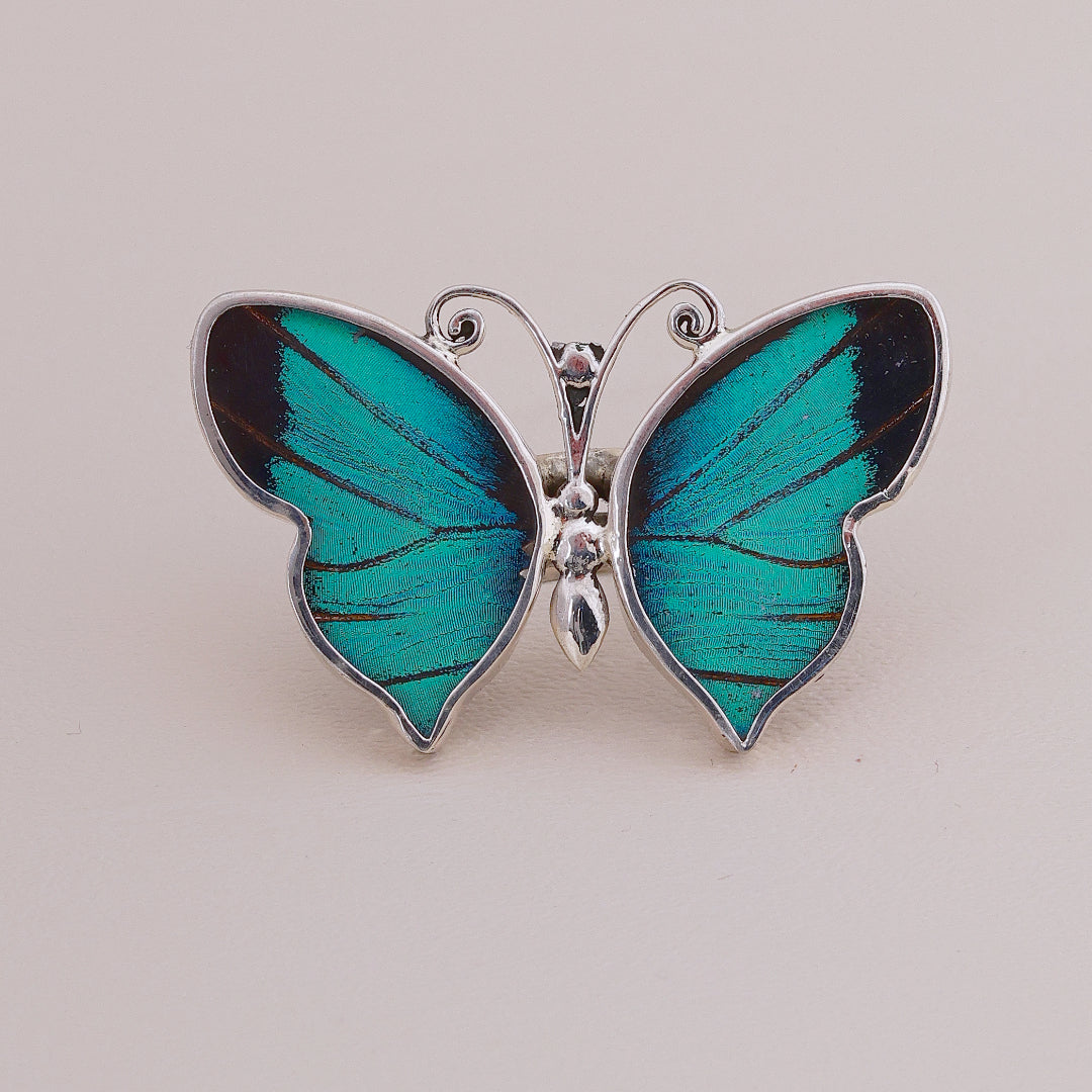 Butterfly Colors Ring #3
