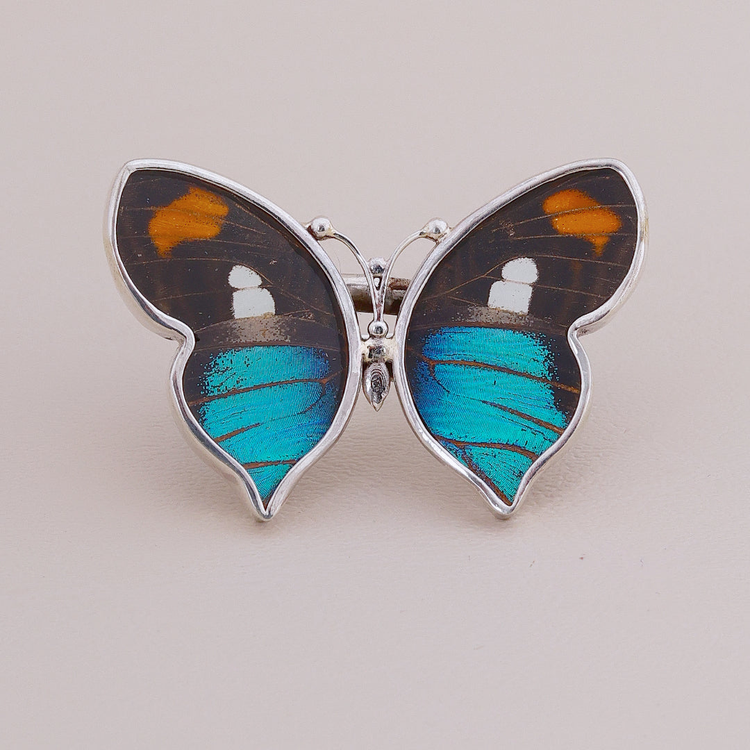 Sortija Mariposa Colors #2