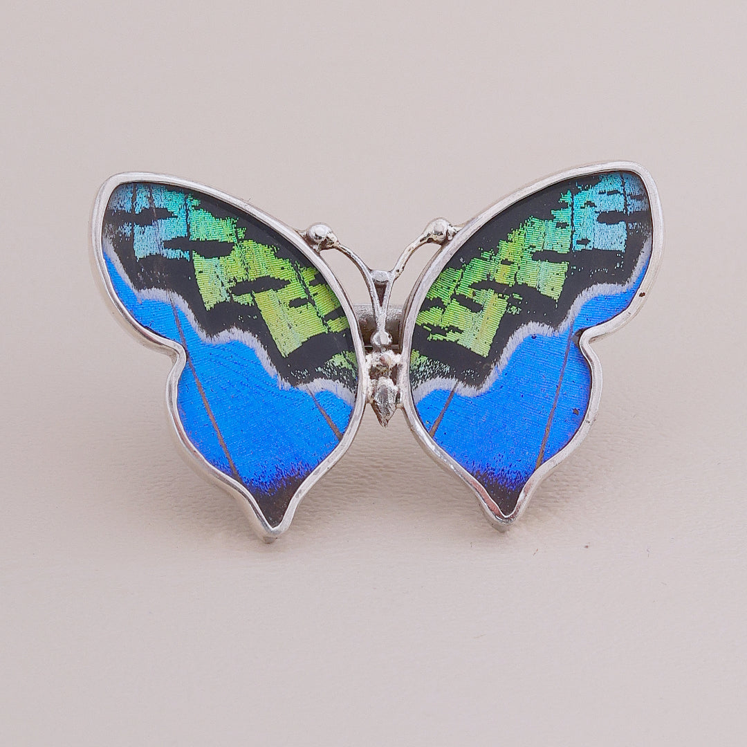Sortija Mariposa Colors #2