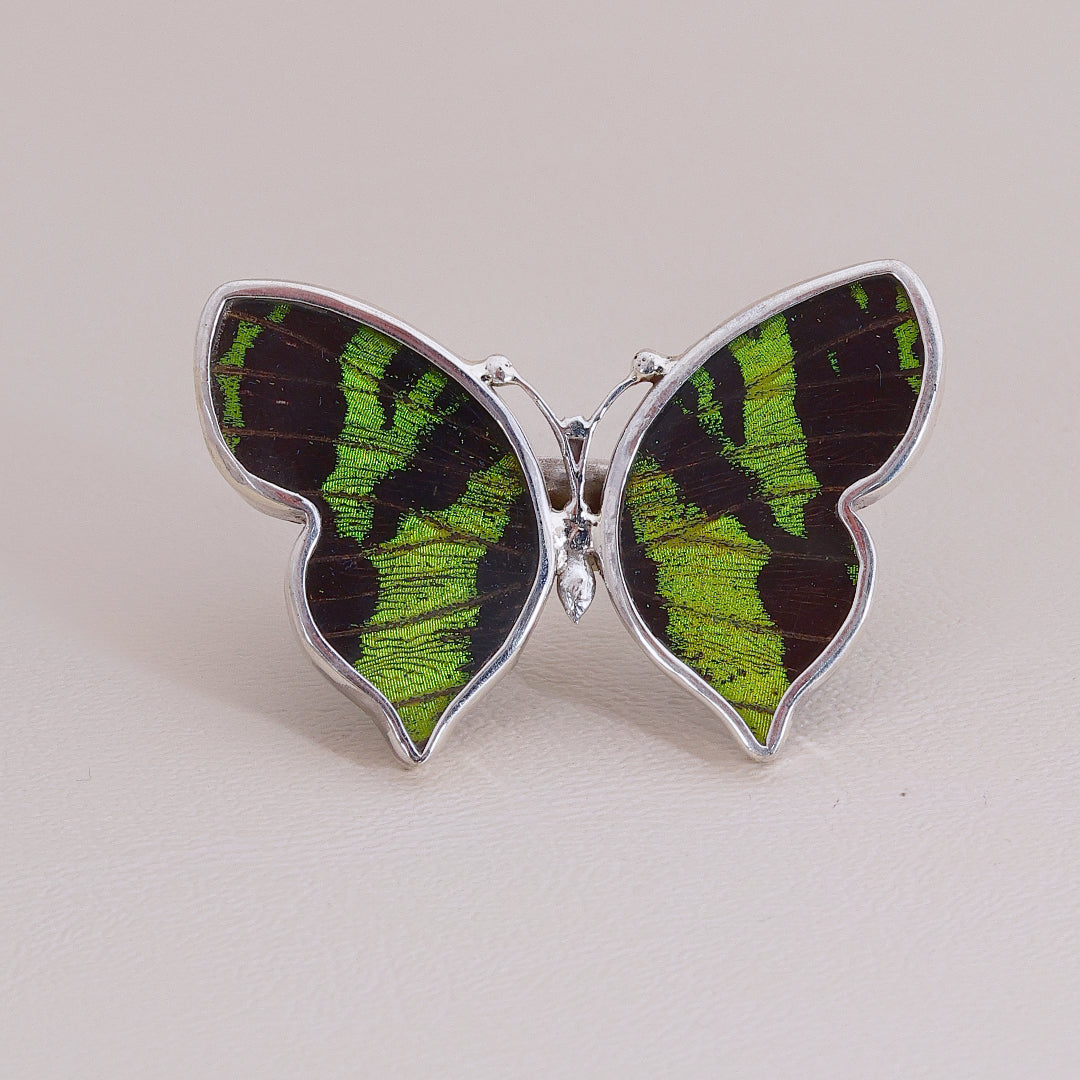 Sortija Mariposa Colors #2