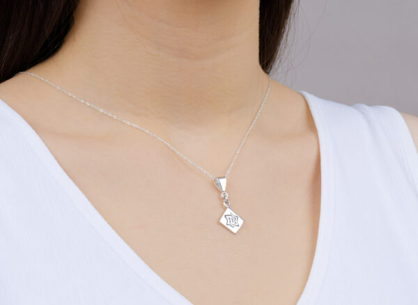 Collar Cometa