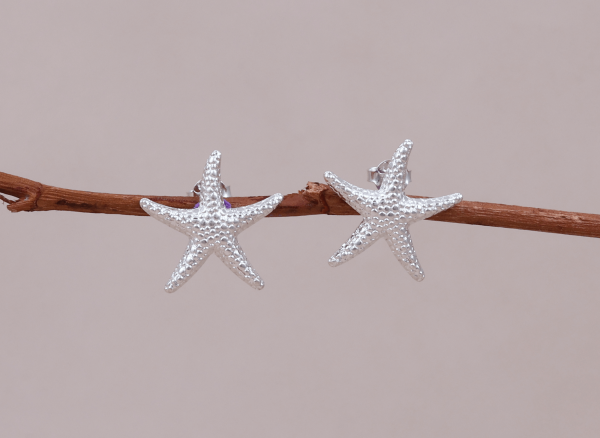Arete Estrella Cassia - Imagen 2